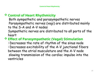 33
Control of Heart Rhythmicity
 Control of Heart Rhythmicity
Both sympathetic and parasympathetic nerves
Parasympathetic nerves (vagi) are distributed mainly
to the S-A and A-V nodes
Sympathetic nerves are distributed to all parts of the
heart
 Effect of Parasympathetic (Vagal) Stimulation
‹ Decreases the rate of rhythm of the sinus node
‹ Decreases excitability of the A-V junctional fibers
between the atrial musculature and the A-V node
slowing transmission of the cardiac impulse into the
ventricles
 