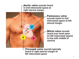 37
Tricuspid valve sounds typically
heard in right sternal margin of
5th intercostal space
Aortic valve sounds heard
in 2nd intercostal space at
right sternal margin
Pulmonary valve
sounds heard in 2nd
intercostal space at left
sternal margin
Mitral valve sounds
heard over heart apex
(in 5th intercostal space)
in line with middle of
clavicle
 