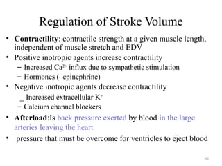 42
Regulation of Stroke Volume
• Contractility: contractile strength at a given muscle length,
independent of muscle stretch and EDV
• Positive inotropic agents increase contractility
– Increased Ca2+
influx due to sympathetic stimulation
– Hormones ( epinephrine)
• Negative inotropic agents decrease contractility
_ Increased extracellular K+
– Calcium channel blockers
• Afterload:Is back pressure exerted by blood in the large
arteries leaving the heart
• pressure that must be overcome for ventricles to eject blood
 