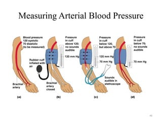 46
Measuring Arterial Blood Pressure
 
