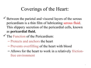 7
Coverings of the Heart:
Between the parietal and visceral layers of the serous
pericardium is a thin film of lubricating serous fluid.
This slippery secretion of the pericardial cells, known
as pericardial fluid,
The Function of the Pericardium:
– Protects and anchors the heart
– Prevents overfilling of the heart with blood
– Allows for the heart to work in a relatively friction-
free environment
 