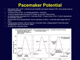 Cardiac physiology | PPT