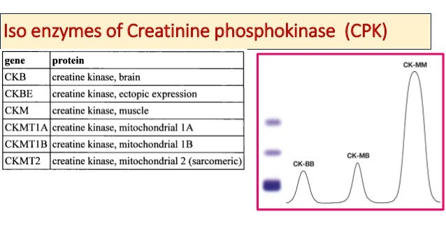 Cardiac Profile Tests Biochemical