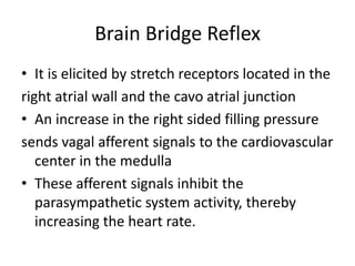 Brain Bridge Reflex
• It is elicited by stretch receptors located in the
right atrial wall and the cavo atrial junction
• An increase in the right sided filling pressure
sends vagal afferent signals to the cardiovascular
center in the medulla
• These afferent signals inhibit the
parasympathetic system activity, thereby
increasing the heart rate.
 