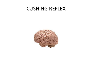 CUSHING REFLEX
 