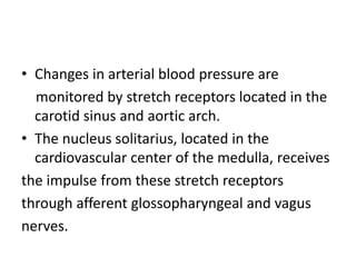 • Changes in arterial blood pressure are
monitored by stretch receptors located in the
carotid sinus and aortic arch.
• The nucleus solitarius, located in the
cardiovascular center of the medulla, receives
the impulse from these stretch receptors
through afferent glossopharyngeal and vagus
nerves.
 