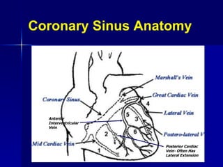 Coronary Sinus Anatomy Anterior Interventricular Vein Posterior Cardiac Vein- Often Has Lateral Extension 