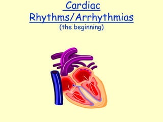 Cardiac
Rhythms/Arrhythmias
     (the beginning)
 