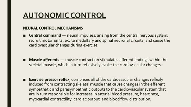 cardiovascular control in exercise the contribution of central command and muscle afferents Lisete michelini, universidade de são paulo, concerning the neural control of the cardiovascular system mechanisms to exercise: central command. cardiovascular control in exercise the contribution of central command and muscle afferents Lisete michelini, universidade de são paulo, concerning the neural control of the cardiovascular system mechanisms to exercise: central command.