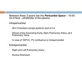 • Between these 2 layers lies the Pericardial Space – 10-50
ml of fluid - ultrafiltrate of the plasma.
• Intrapericardial
• All 4 Chambers except posterior part of LA
• Almost entire Ascending Aorta, Main Pulmonary Artery, all 4
Pulmonary Veins
• In case of TAPVC, PV confluence is intrapericardial
• Extrapericardial
• Right and Left Pulmonary Artery
• Ductus Arteriosus
 