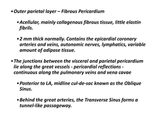 •Outer parietal layer – Fibrous Pericardium
•Acellular, mainly collagenous fibrous tissue, little elastin
fibrils.
•2 mm thick normally. Contains the epicardial coronary
arteries and veins, autonomic nerves, lymphatics, variable
amount of adipose tissue.
•The junctions between the visceral and parietal pericardium
lie along the great vessels - pericardial reflections -
continuous along the pulmonary veins and vena cavae
•Posterior to LA, midline cul-de-sac known as the Oblique
Sinus.
•Behind the great arteries, the Transverse Sinus forms a
tunnel-like passageway.
 