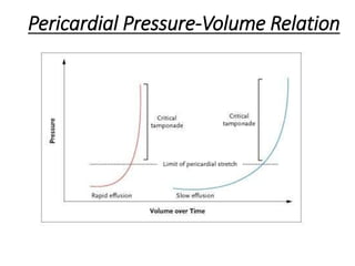 Pericardial Pressure-Volume Relation
 