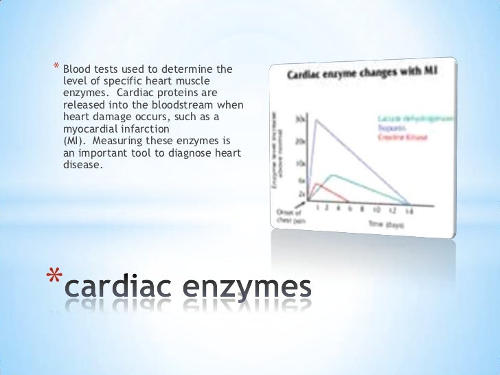 test heart 6 hour testing (1) procedures Cardiac test heart 6 hour testing (1) procedures Cardiac