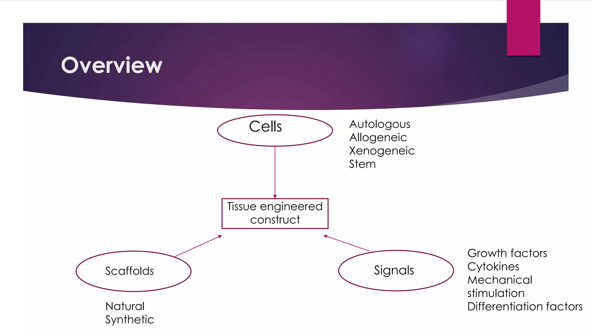 Overview
Tissue engineered
construct
Cells
Scaffolds Signals
Autologous
Allogeneic
Xenogeneic
Stem
Growth factors
Cytokines
Mechanical
stimulation
Differentiation factorsNatural
Synthetic
 