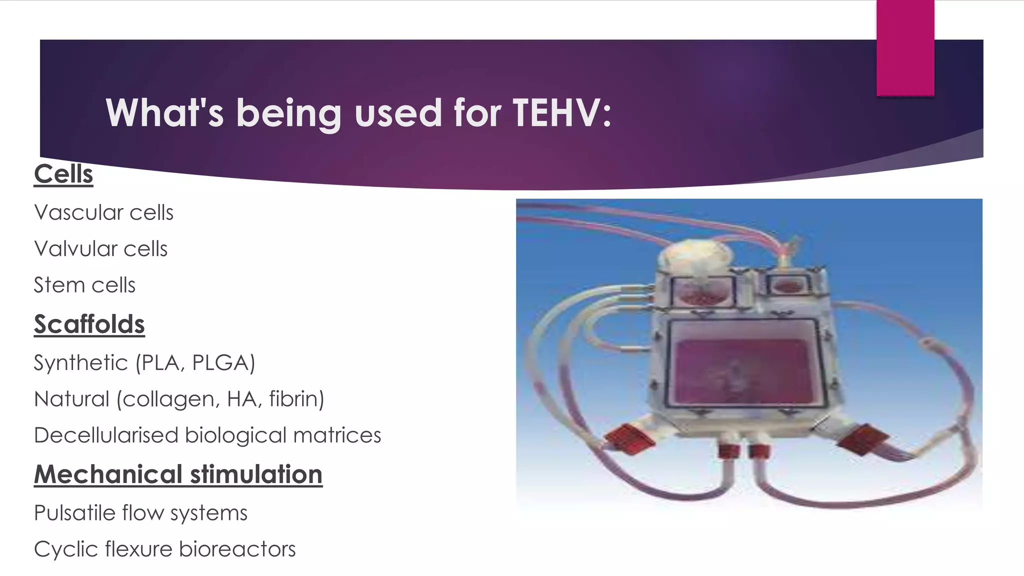 What's being used for TEHV:
Cells
Vascular cells
Valvular cells
Stem cells
Scaffolds
Synthetic (PLA, PLGA)
Natural (collagen, HA, fibrin)
Decellularised biological matrices
Mechanical stimulation
Pulsatile flow systems
Cyclic flexure bioreactors
 