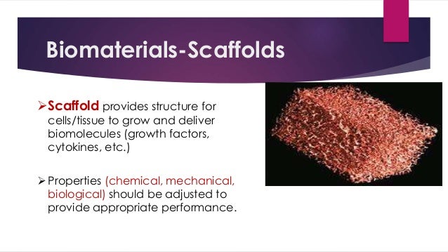 types of scaffolds in tissue engineering Cardiac tissue engineering types of scaffolds in tissue engineering Cardiac tissue engineering