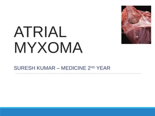 ATRIAL
MYXOMA
SURESH KUMAR – MEDICINE 2ND
YEAR
 