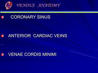 VENOUS ANATOMY
CORONARY SINUS

ANTERIOR CARDIAC VEINS
.

VENAE CORDIS MINIMI

 