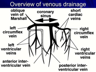 Overview of venous drainage

 