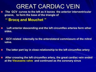 GREAT CARDIAC VEIN
The GCV curves to the left as it leaves the anterior interventricular
groove, to form the base of the triangle of

‘‘ Brocq and Mouchet ”
Left anterior descending and the left circumﬂex arteries form other
sides.
GCV related internally to the anterolateral commissure of the mitral
valve.
The latter part lay in close relationship to the left circumﬂex artery

After crossing the left circumﬂex artery, the great cardiac vein ended
at the Vieussens valve and continued as the coronary sinus

 