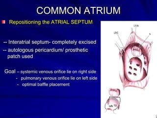 COMMON ATRIUM
Repositioning the ATRIAL SEPTUM

-- Interatrial septum- completely excised
-- autologous pericardium/ prosthetic
patch used
Goal – systemic venous orifice lie on right side
- pulmonary venous orifice lie on left side
- optimal baffle placement

 