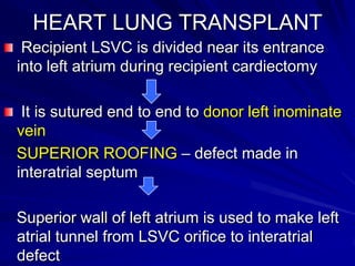 HEART LUNG TRANSPLANT
Recipient LSVC is divided near its entrance
into left atrium during recipient cardiectomy
It is sutured end to end to donor left inominate
vein
SUPERIOR ROOFING – defect made in
interatrial septum

Superior wall of left atrium is used to make left
atrial tunnel from LSVC orifice to interatrial
defect

 