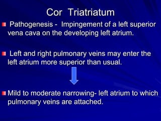 Cor Triatriatum
Pathogenesis - Impingement of a left superior
vena cava on the developing left atrium.
Left and right pulmonary veins may enter the
left atrium more superior than usual.

Mild to moderate narrowing- left atrium to which
pulmonary veins are attached.

 