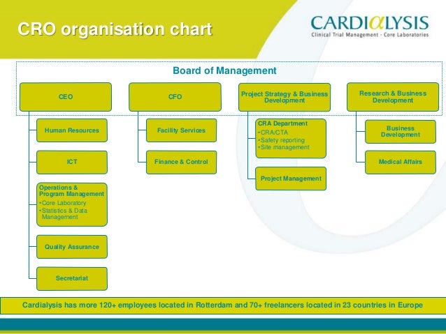Cro Organizational Chart