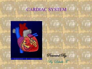 CARDIAC SYSTEM
Presented By:
By Lehulu T.
 