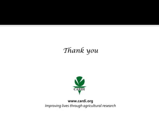 Thank you
www.cardi.org
Improving lives through agricultural research
 