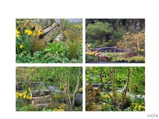 RHS Flower Show Cardiff 2014 Gold Medal & Best in Show Woodland Garden