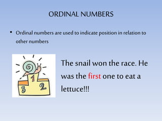 ORDINALNUMBERS
• Ordinal numbers are used to indicate position in relation to
other numbers
The snail won the race. He
was the first one to eat a
lettuce!!!
 