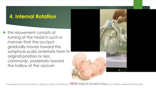 Internal Rotation Anatomical Position cardinal-movements-of-labor-video-guide-2.pdf