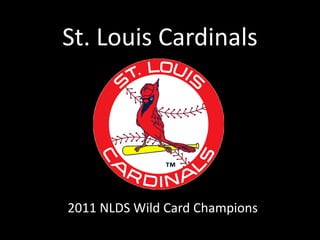 St. Louis Cardinals 2011 NLDS Wild Card Champions 