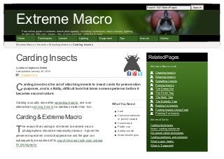 Search 1021 Macro Pages

Extreme Macro
Free online guide to extreme macro photography, including techniques, macro lenses, lighting,
equipment, diffusers, stages, tips, macro stacking, software & more
Home

Techniques

Lenses

Lighting

Equipment

Tips

Insects

Gallery

Extreme Macro ›› Insects ›› Mounting Insects ›› Carding Insects

Carding Insects

Related Pages
Extreme-Macro.co.uk

by Johan J Ingles-Le Nobel
Last updated January 26, 2014
COMMENTS (0)

Cleaning Insects
Relaxing Insects

C

arding insects is the act of attaching insects to insect cards for preservation
purposes, and is a fiddly, difficult task that takes some experience before it
becomes second nature.

Spreading Insects
Pinning Insects
The Sweep Net
The Pitfall Trap
The Moth Trap

Carding is usually done after spreading insects, and is an
alternative to pinning insects for beetles smaller than 1cm.

What You Need
Card

Carding & Extreme Macro

T

Crossover tweezers
or jewelry spatula
Custom tools

he reason that carding is of interest to extreme macro

Plastic cup

photographers should be reasonably obvious - it gives the

Setting needle

preserved specimen a natural appearance and the glue can
s ubsequently be washed off to mount the insect with a pin instead
for photography .

Do you need professional PDFs? Try PDFmyURL!

Water soluble glue

The Butterfly Trap
Beating for Insects
Finding Insects Using Food
Planting For Insects
External Links
Carding techniques
Insect carding standards
Dry preservation techniques
Carding problems and solutions
What is gum Arabic
What is Tragacanth

Search

 