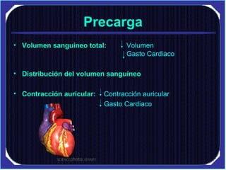 Precarga Volumen sanguíneo total:   Volumen  Gasto Cardiaco Distribución del volumen sanguíneo Contracción auricular:  Contracción auricular   Gasto Cardiaco 