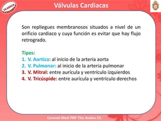 Coronel Med PNP Tito Avalos Ch.
Válvulas Cardiacas
Son repliegues membranosos situados a nivel de un
orificio cardiaco y cuya función es evitar que hay flujo
retrogrado.
Tipos:
1. V. Aortica: al inicio de la arteria aorta
2. V. Pulmonar: al inicio de la arteria pulmonar
3. V. Mitral: entre aurícula y ventrículo izquierdos
4. V. Tricúspide: entre aurícula y ventrículo derechos
 