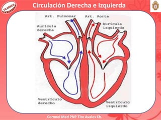 Coronel Med PNP Tito Avalos Ch.
Circulación Derecha e Izquierda
 