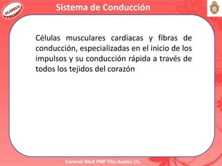Coronel Med PNP Tito Avalos Ch.
Sistema de Conducción
Células musculares cardiacas y fibras de
conducción, especializadas en el inicio de los
impulsos y su conducción rápida a través de
todos los tejidos del corazón
 