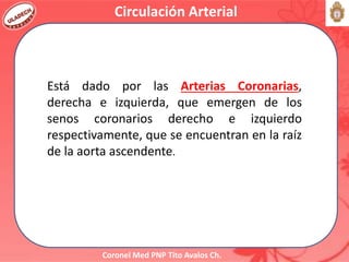 Coronel Med PNP Tito Avalos Ch.
Circulación Arterial
Está dado por las Arterias Coronarias,
derecha e izquierda, que emergen de los
senos coronarios derecho e izquierdo
respectivamente, que se encuentran en la raíz
de la aorta ascendente.
 