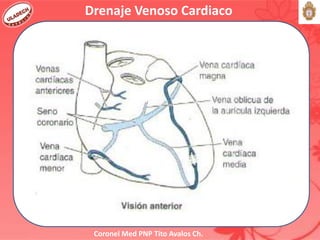 Coronel Med PNP Tito Avalos Ch.
Drenaje Venoso Cardiaco
 