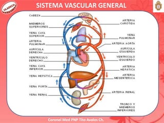Coronel Med PNP Tito Avalos Ch.
SISTEMA VASCULAR GENERAL
 