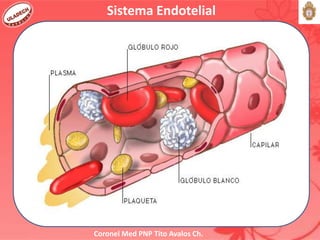 Coronel Med PNP Tito Avalos Ch.
Sistema Endotelial
 