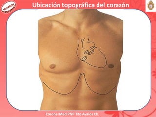 Coronel Med PNP Tito Avalos Ch.
Ubicación topográfica del corazón
 