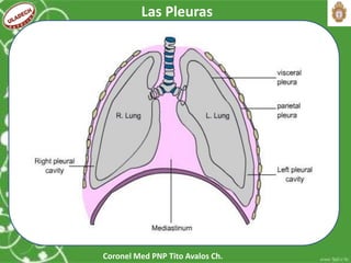 Coronel Med PNP Tito Avalos Ch.
Las Pleuras
 
