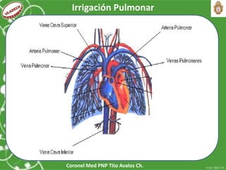 Coronel Med PNP Tito Avalos Ch.
Irrigación Pulmonar
 