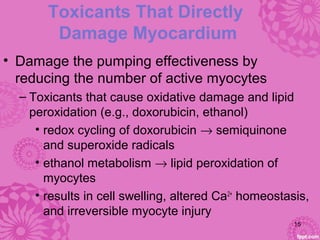 Toxicants That Directly
Damage Myocardium
• Damage the pumping effectiveness by
reducing the number of active myocytes
– Toxicants that cause oxidative damage and lipid
peroxidation (e.g., doxorubicin, ethanol)
• redox cycling of doxorubicin → semiquinone
and superoxide radicals
• ethanol metabolism → lipid peroxidation of
myocytes
• results in cell swelling, altered Ca2+
homeostasis,
and irreversible myocyte injury
15
 