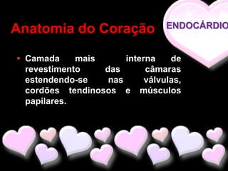 Anatomia do Coração              ENDOCÁRDIO


 Camada     mais      interna    de
  revestimento    das       câmaras
  estendendo-se    nas      válvulas,
  cordões tendinosos e músculos
  papilares.
 