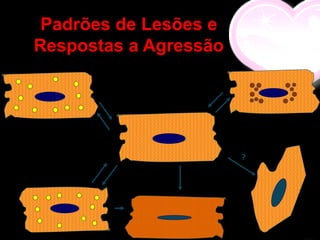 Padrões de Lesões e
Respostas a Agressão




                       ?
 