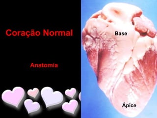 Coração Normal   Base




     Anatomia




                   Ápice
 